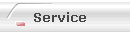 Service